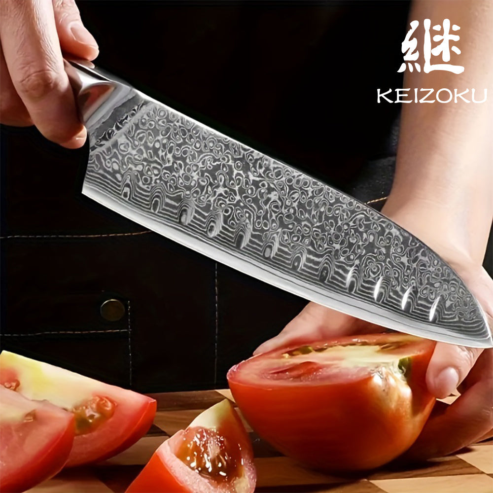 Damascus Steel Chef Knife 8 Inch, Santoku Knife, Boning Knife, Japanese Professional 10Cr15MOV Blade With Hand Forged Hammer Pattern, Ultra Sharp Kitchen Knife With Abalone Shell Ergonomic Handle