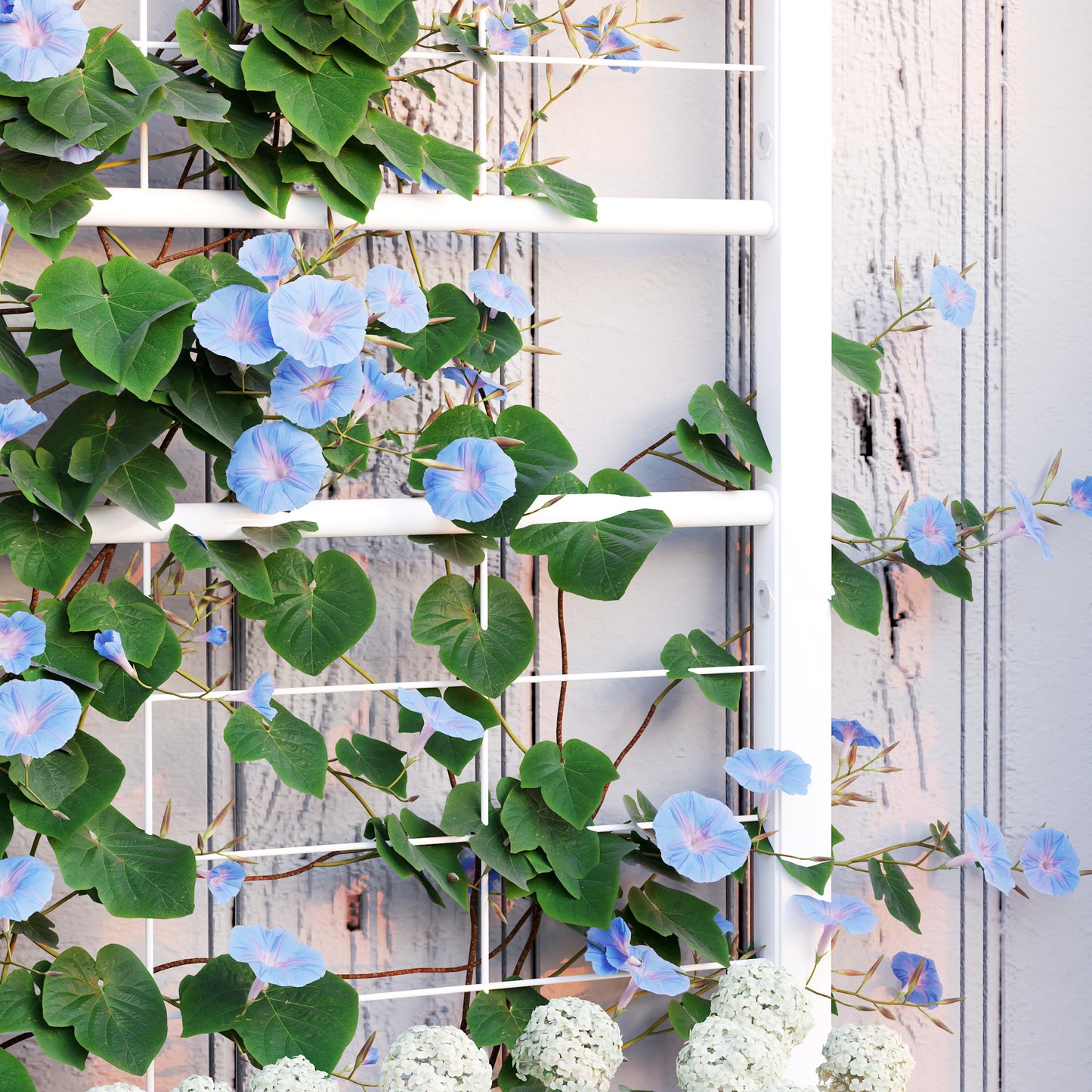 Outdoor Planter Box Galvanized Raised Garden Bed With Trellis For Climbing Vines