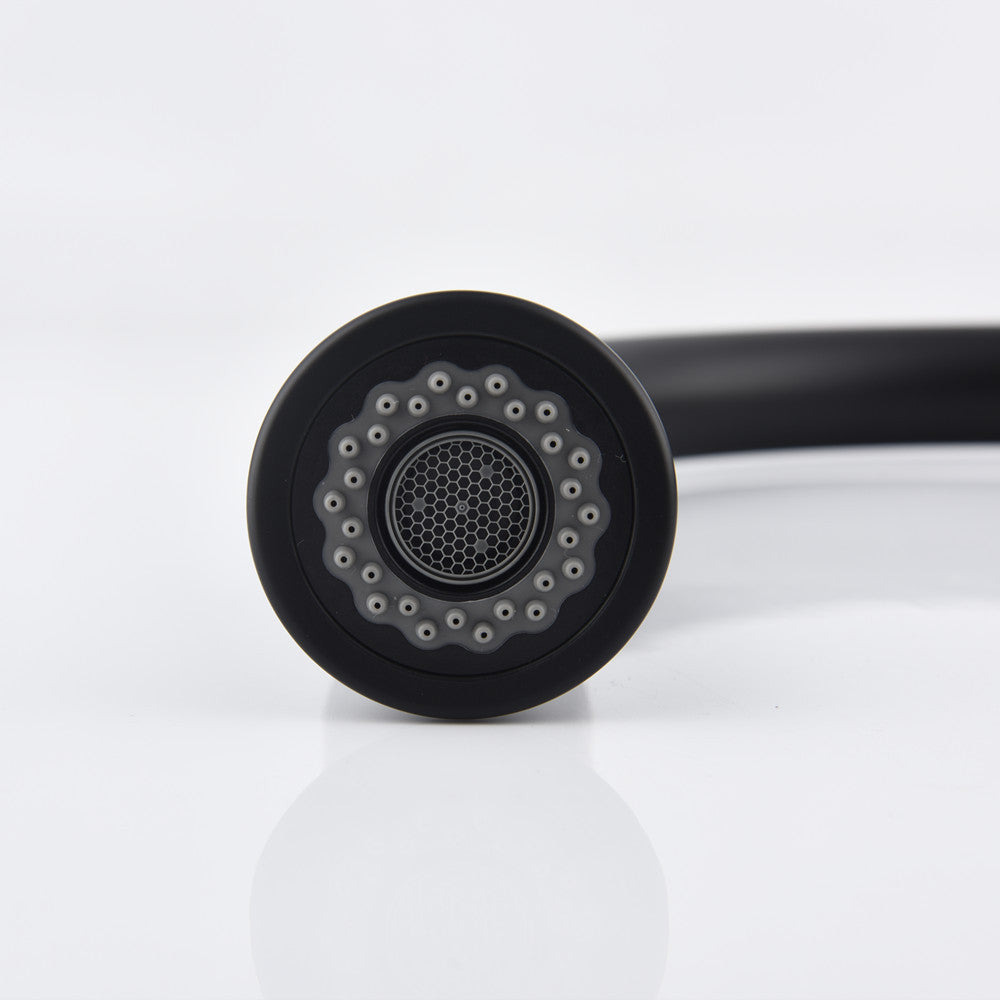 Single-handle Pull-down Kitchen Faucet With Dual-function Sprinklers