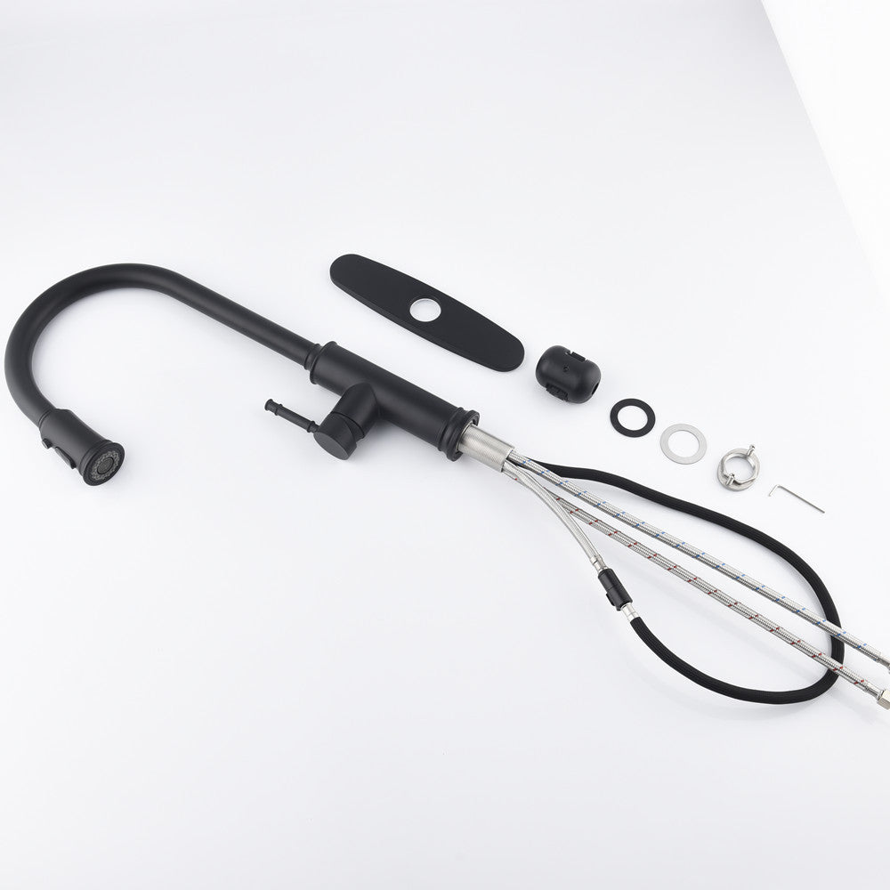 Single-handle Pull-down Kitchen Faucet With Dual-function Sprinklers