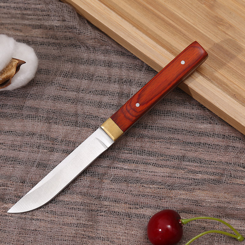 Multi-purpose Stainless Steel Fruit Knife