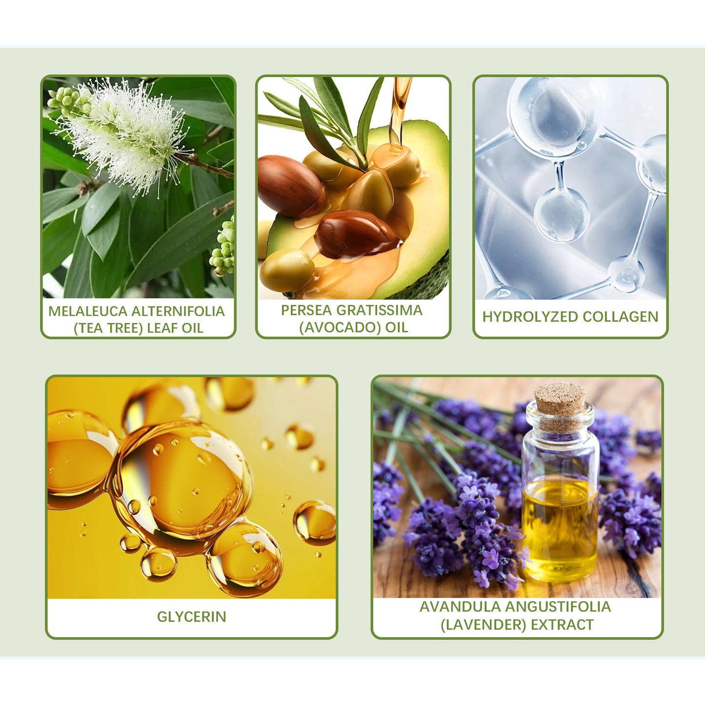 South Moon Womens Care Capsules  Body Cleansing Odor Removal  Itching Firming, Gentle Care Capsules