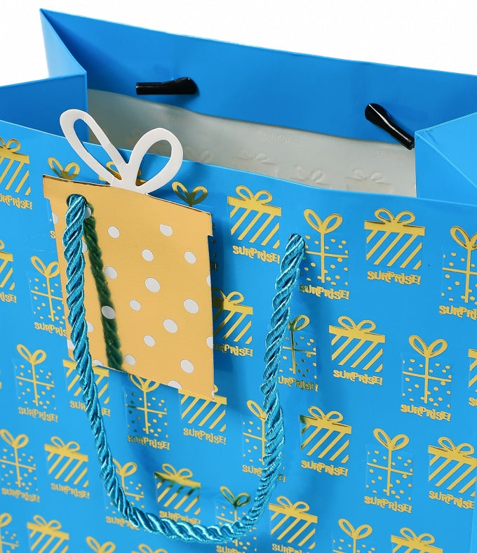 12 Pieces Of Exquisite Gift Bags, Bronzing Process Design, A Variety Of Styles, Suitable For Birthday Parties, Gifts, Baby Parties, Coming-of-age Parties And Other Occasions, Reusable