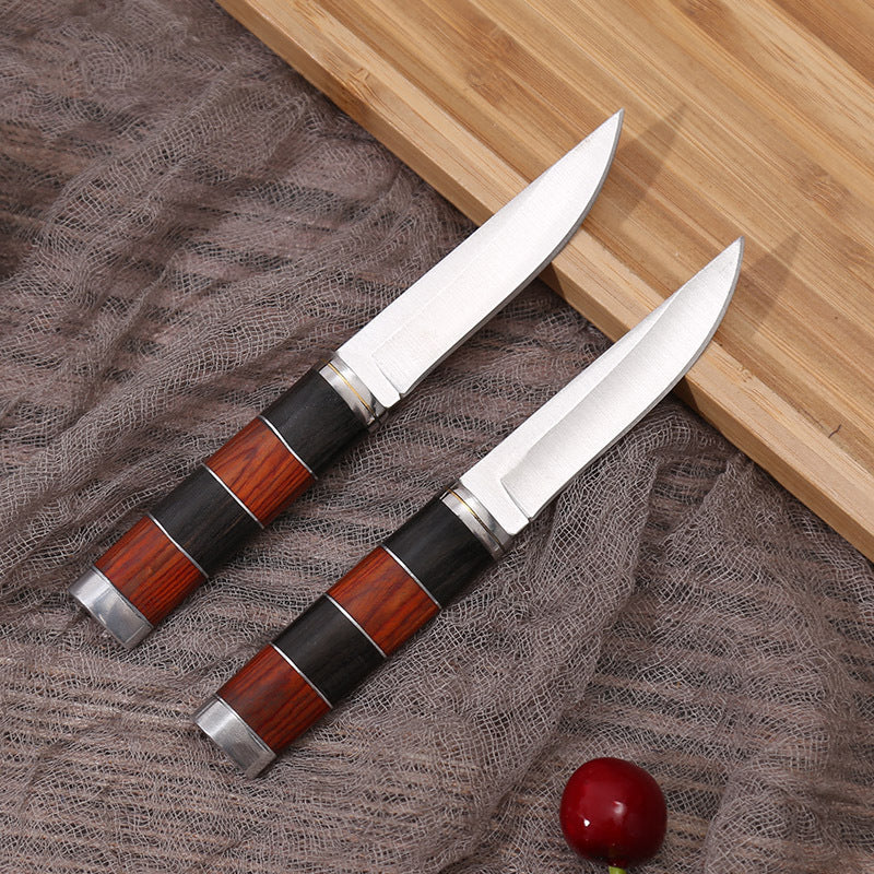Multi-purpose Stainless Steel Fruit Knife