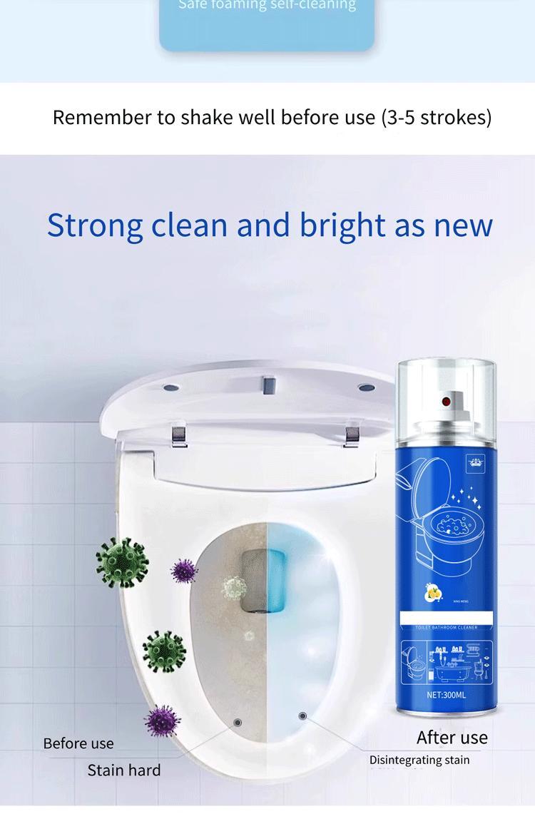 Strong Stain Removal Formula Specially Designed For Household Toilets