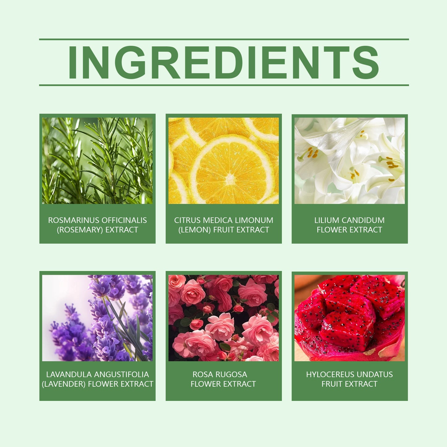 OceAura Fragrant Shower Ball, Plant-Scented Shower Ball Cleans And Moisturizes The Body With A Colorful And Fragrant Shower Ball