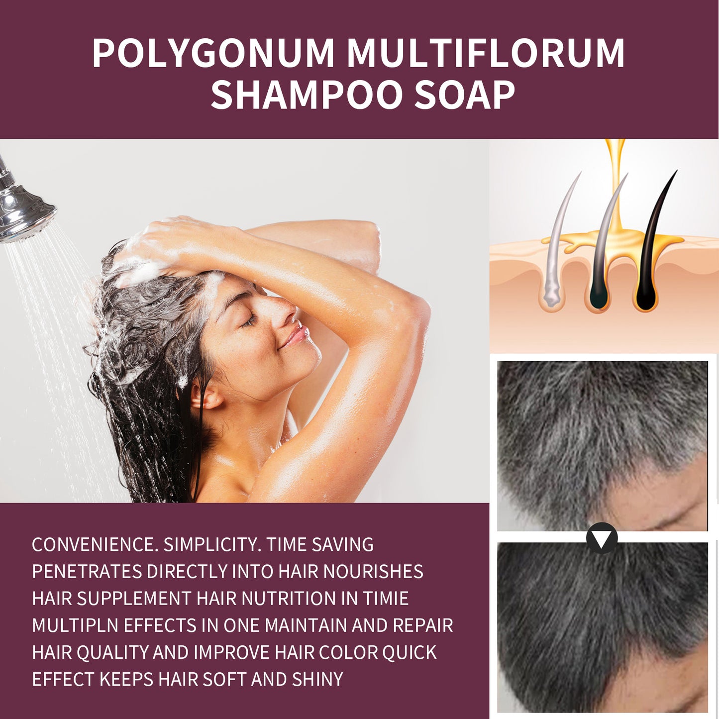 Polygonum Multiflorum Shampoo