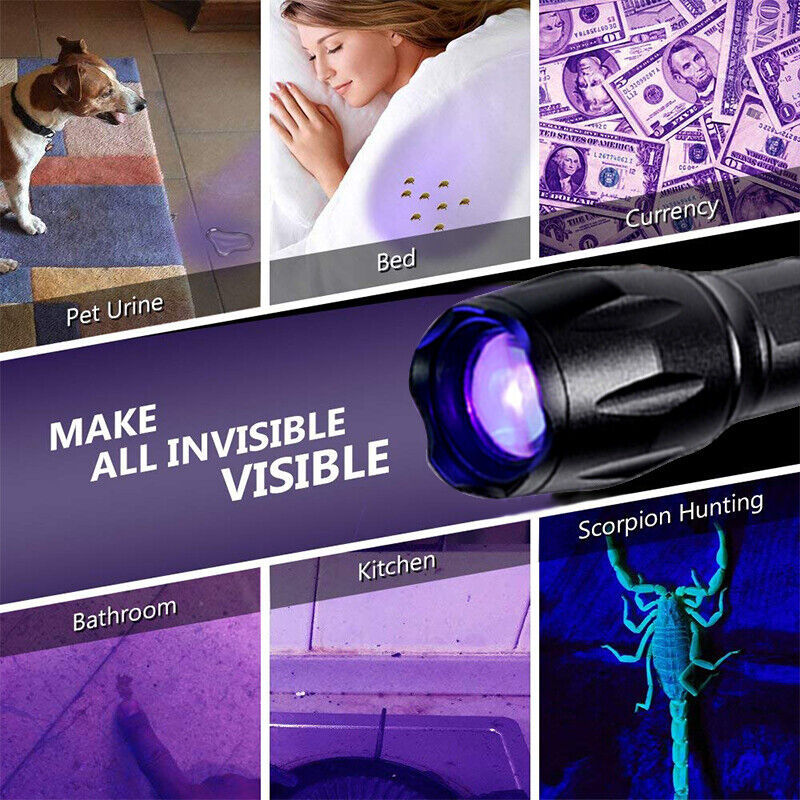 2Mode UV Ultra Violet Light & Flashlight Blacklight 395nm Inspection Torch Zoom