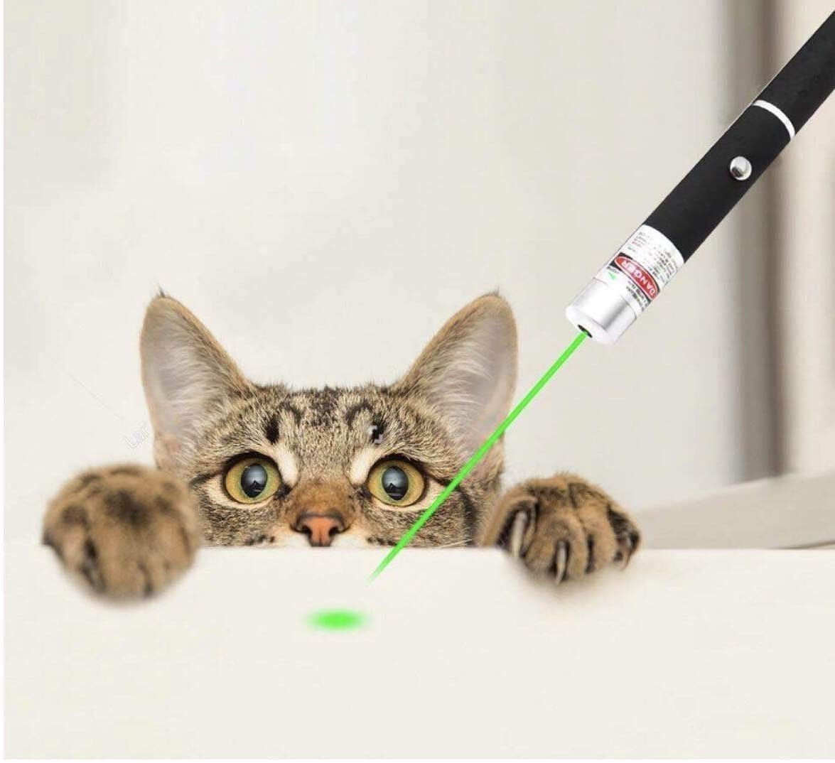 Pet Toy Green Laser Pointer Pen Light Single Beam High Power Lazer Flashlight 900Miles 1mW 532nm Torch