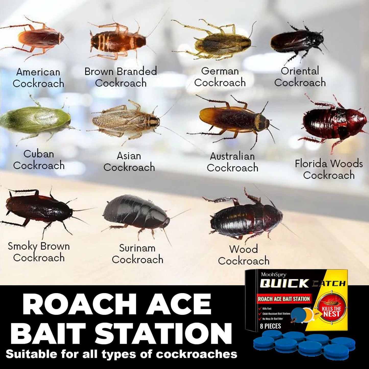 Moon Elf Roach Buster Bait Station