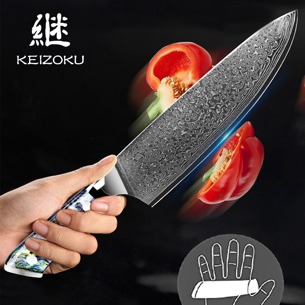 Damascus Steel Chef Knife 8 Inch, Santoku Knife, Boning Knife, Japanese Professional 10Cr15MOV Blade With Hand Forged Hammer Pattern, Ultra Sharp Kitchen Knife With Abalone Shell Ergonomic Handle
