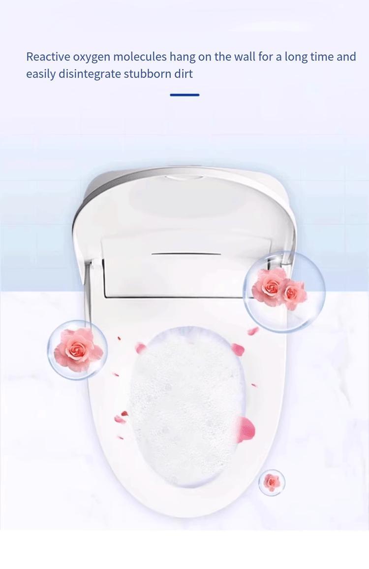 Strong Stain Removal Formula Specially Designed For Household Toilets