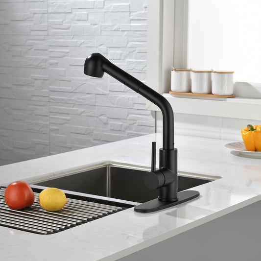 Stainless Steel Matte Black Single Handle Pull Out Spray, Kitchen Faucet