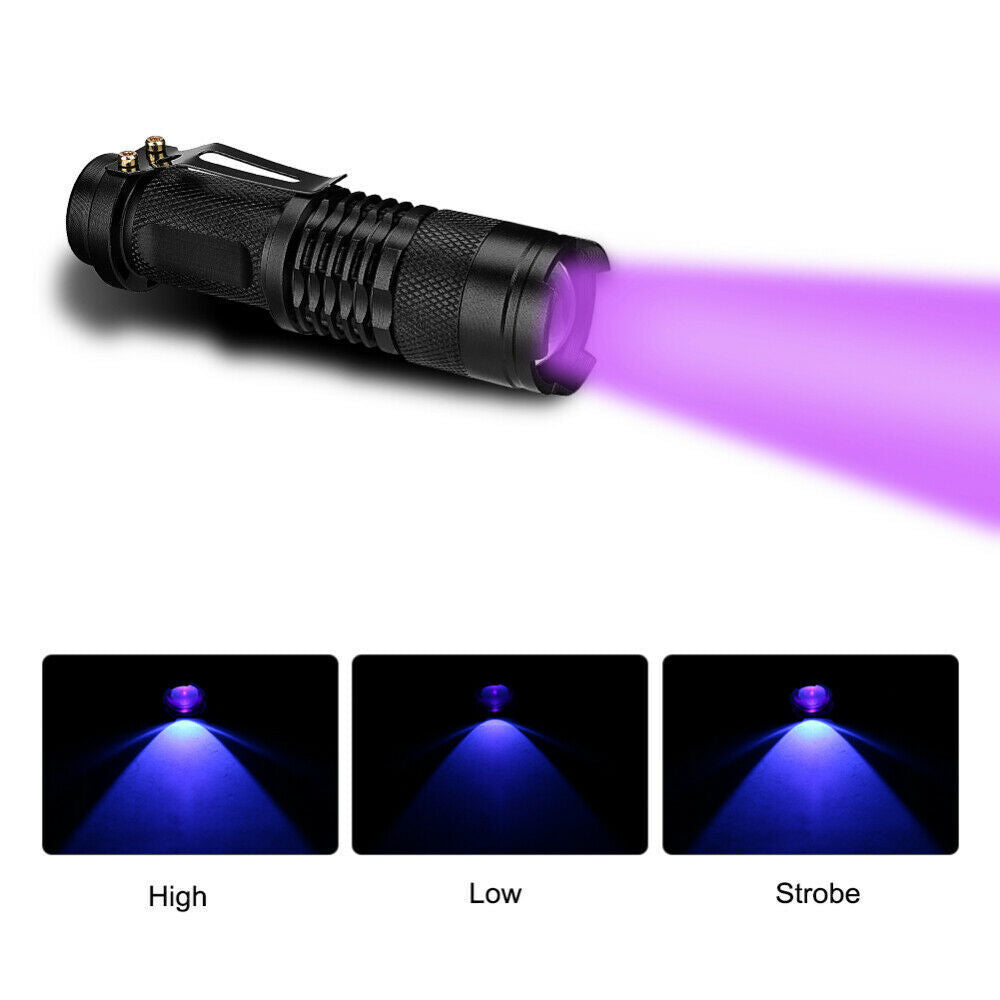 UV Ultra Violet Flashlight Handheld Blacklight Small Flashlight 395nm Mini Light Inspection Lamp Pen Torch Detector For Dog Pet Urine Stains, Bed Bugs And Scorpions